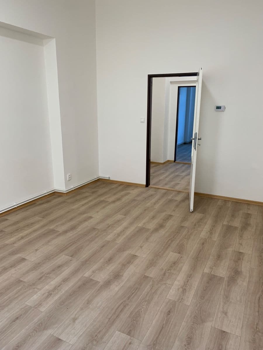 1 bedroom with open-plan kitchen flat to rent, 47 m², Hartigova, Prague, Prague 1 bedroom with open-plan kitchen flat to rent, 47 m², Hartigova, Prague, Prague