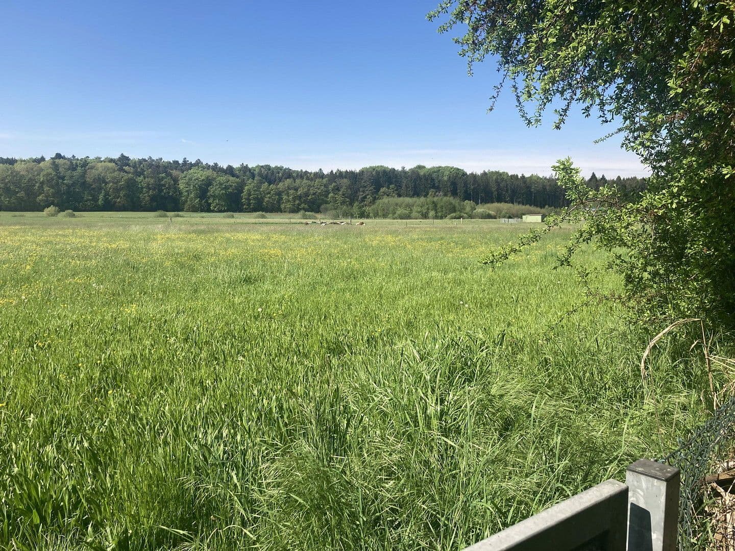 house to rent, 213 m², Jägersteig 11, Schrobenhausen, Bavaria house to rent, 213 m², Jägersteig 11, Schrobenhausen, Bavaria