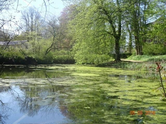 house for sale, 220 m², Itzehoe, Schleswig-Holstein house for sale, 220 m², Itzehoe, Schleswig-Holstein