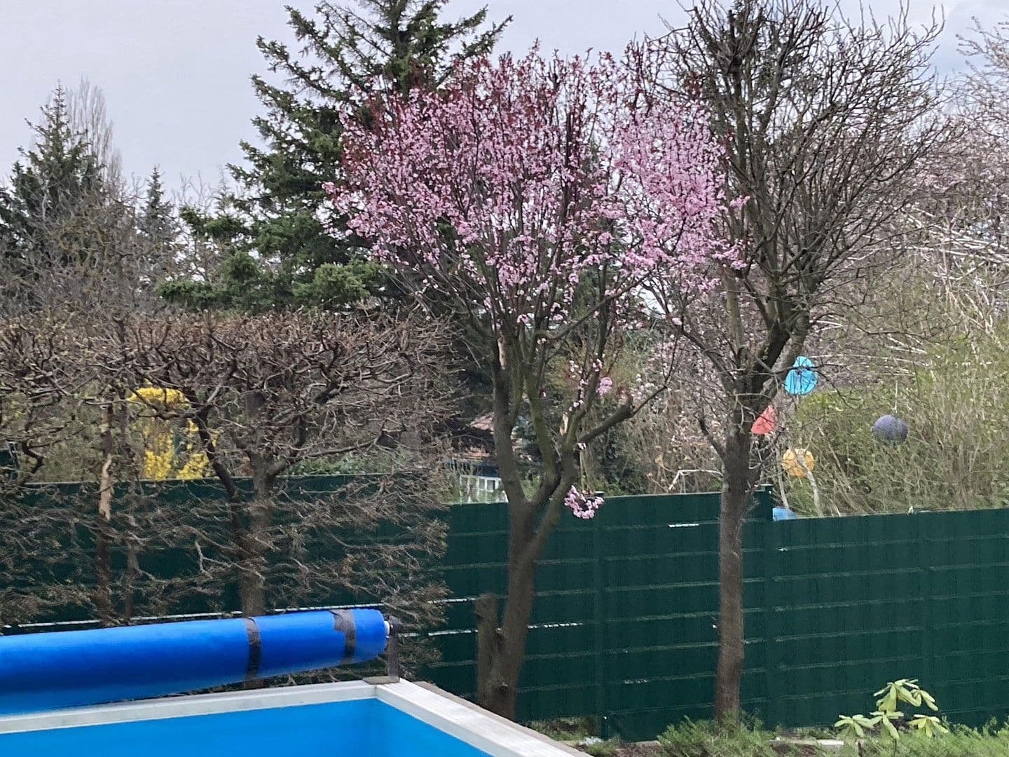 house for sale, 129 m², Wien, Vienna house for sale, 129 m², Wien, Vienna