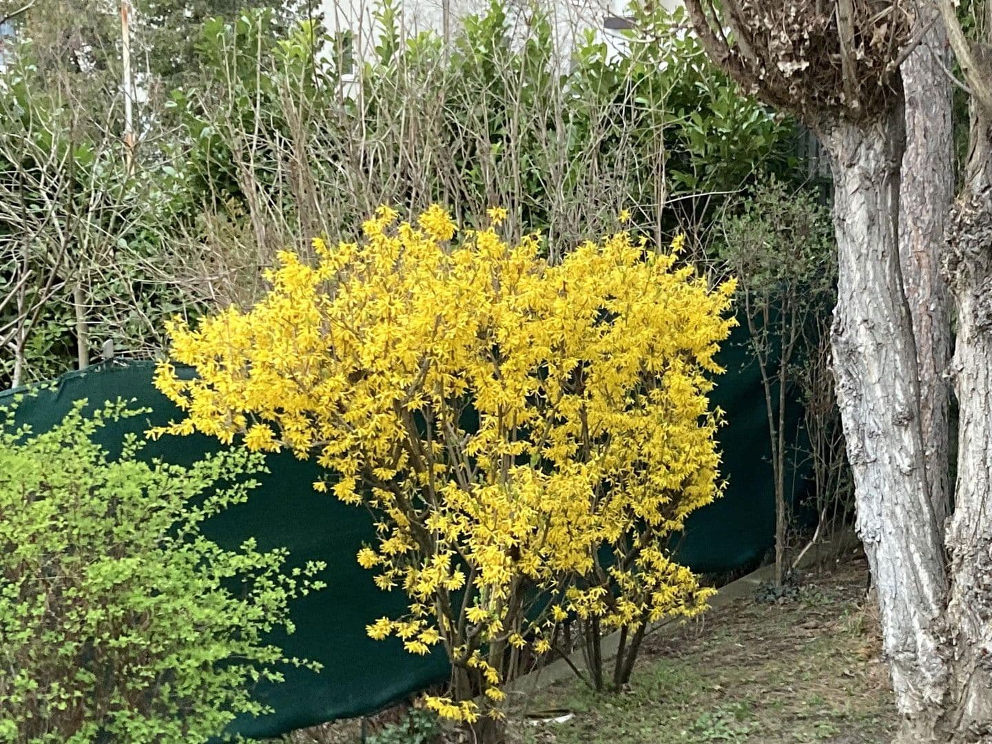 house for sale, 129 m², Wien, Vienna house for sale, 129 m², Wien, Vienna