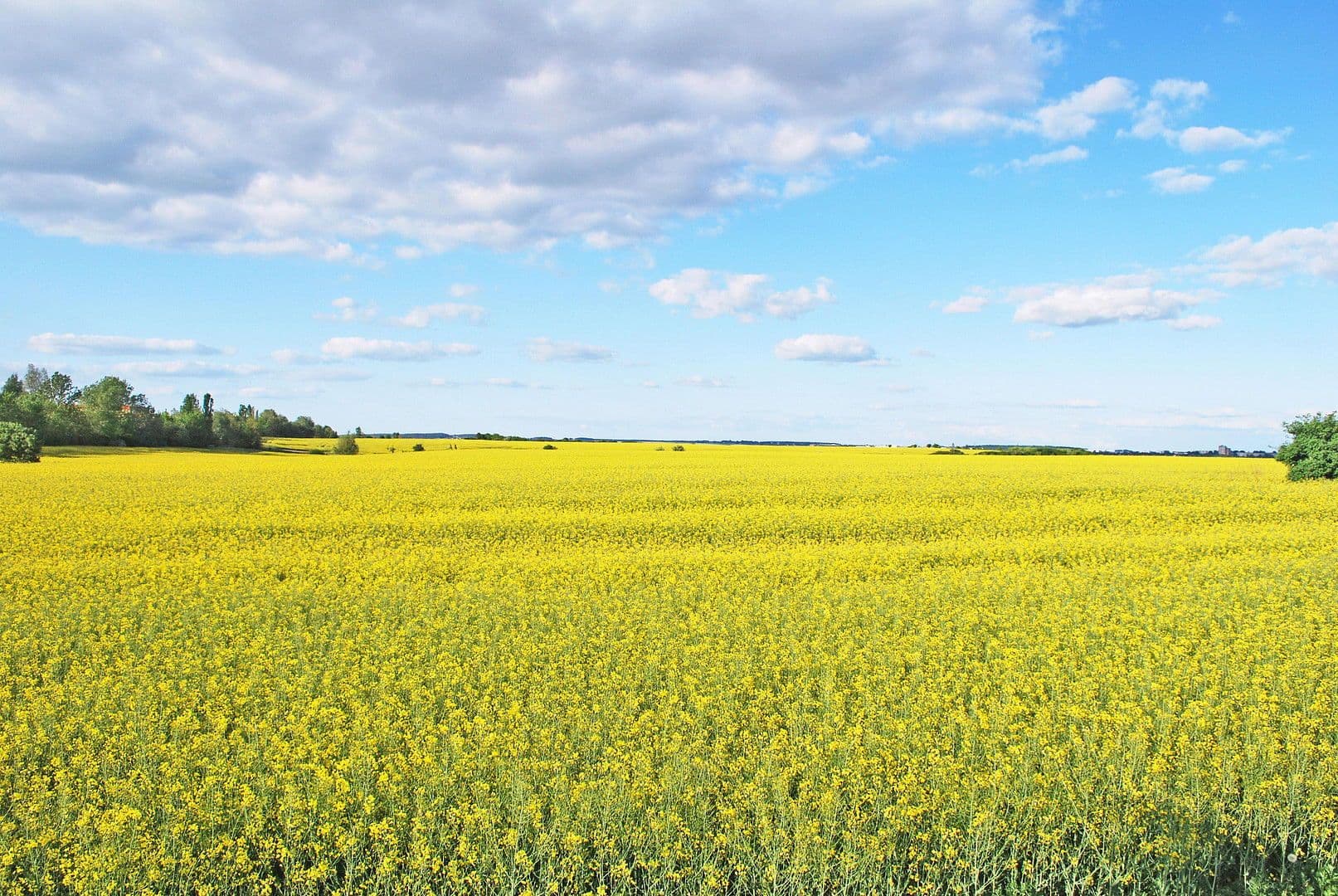 house for sale, 91 m², Zur Lenzer Höh 6, Haus 13, Fünfseen, Mecklenburg-Vorpommern house for sale, 91 m², Zur Lenzer Höh 6, Haus 13, Fünfseen, Mecklenburg-Vorpommern