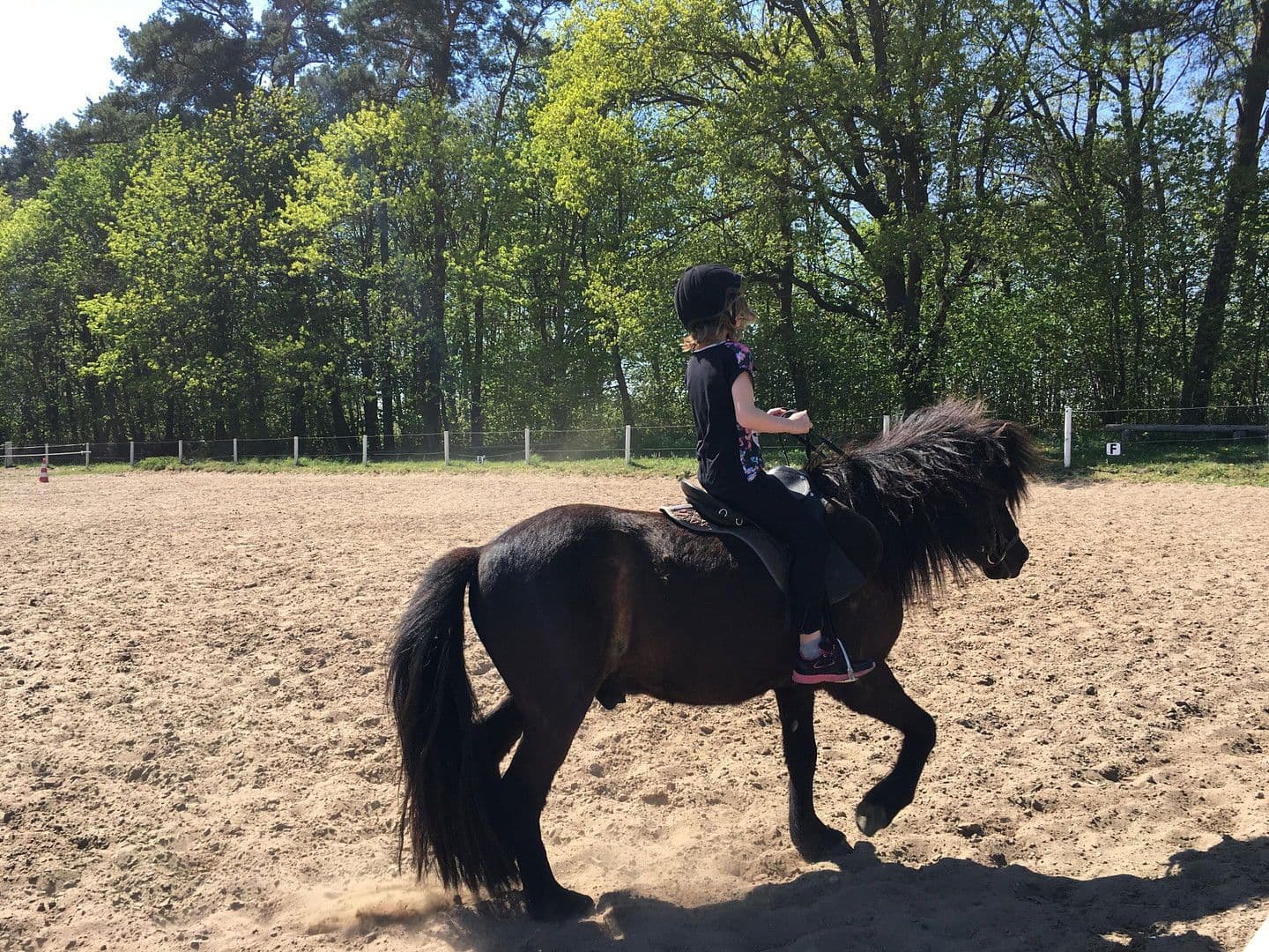 house for sale, 91 m², Zur Lenzer Höh 6, Haus 13, Fünfseen, Mecklenburg-Vorpommern house for sale, 91 m², Zur Lenzer Höh 6, Haus 13, Fünfseen, Mecklenburg-Vorpommern