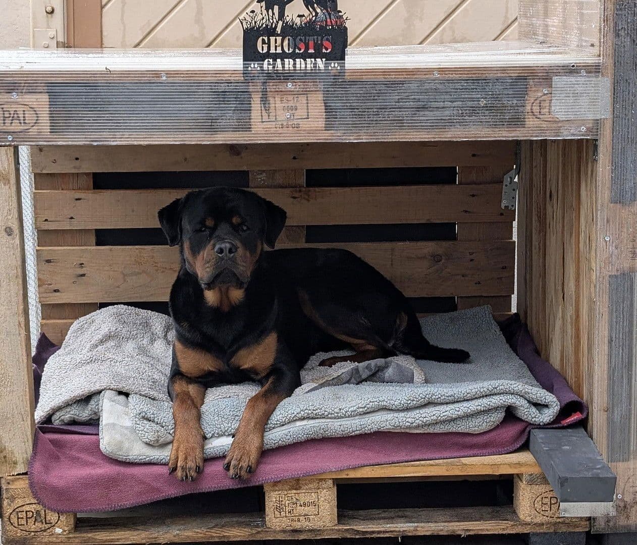 3 bedroom flat to rent, 92 m², Kallstadt, Rhineland-Palatinate 3 bedroom flat to rent, 92 m², Kallstadt, Rhineland-Palatinate