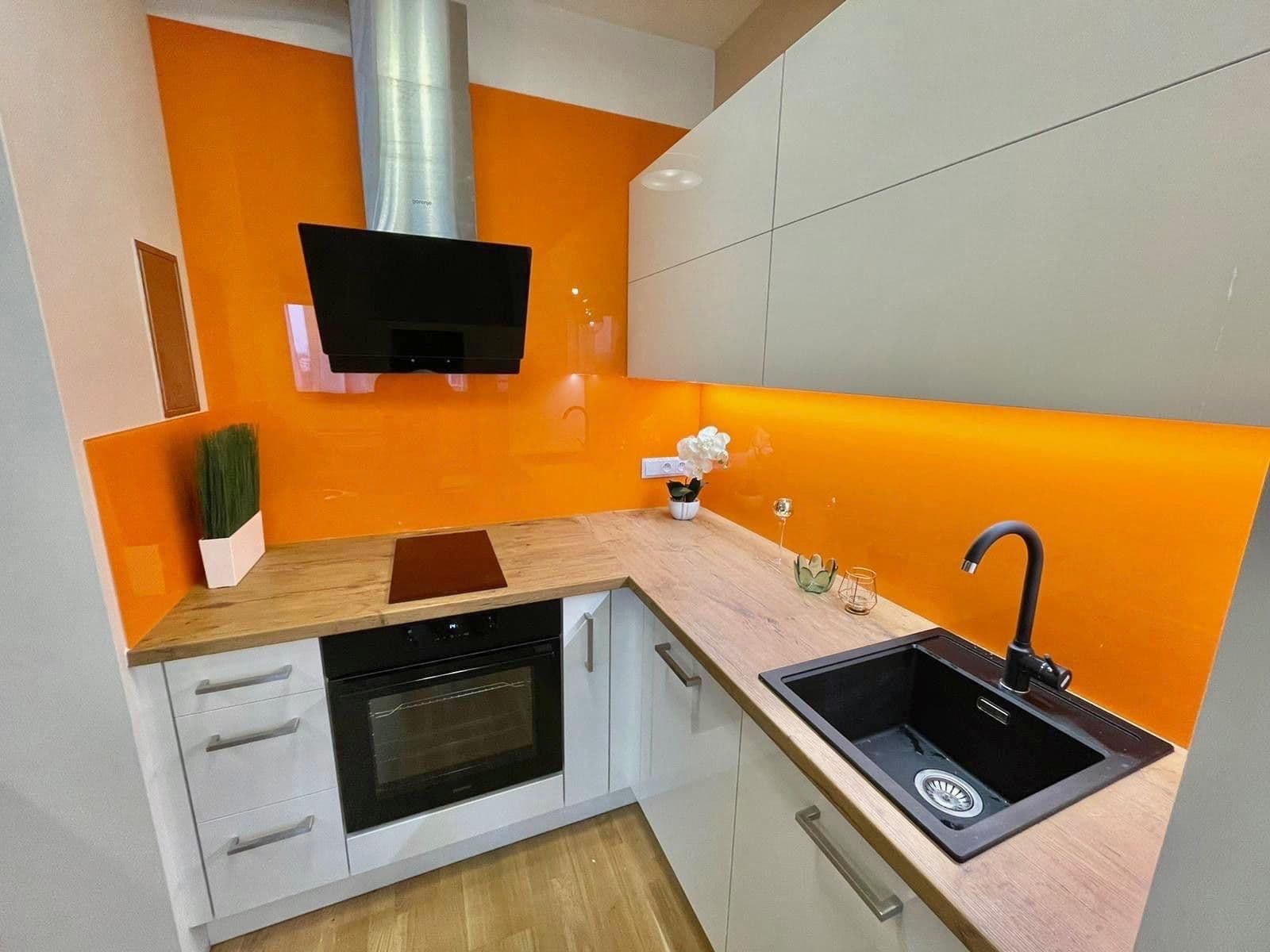 1 bedroom with open-plan kitchen flat to rent, 50 m², Argentinská, Prague, Prague 1 bedroom with open-plan kitchen flat to rent, 50 m², Argentinská, Prague, Prague