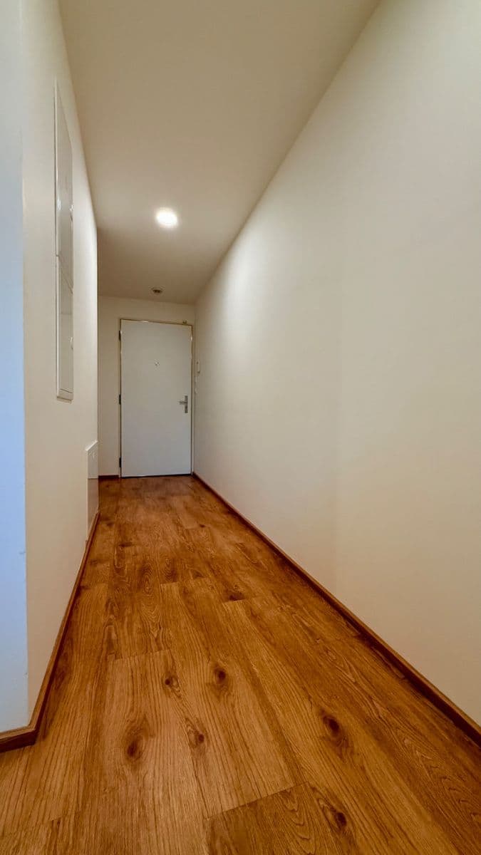 2 bedroom with open-plan kitchen flat for sale, 84 m², Vojenova, Prague, Prague 2 bedroom with open-plan kitchen flat for sale, 84 m², Vojenova, Prague, Prague