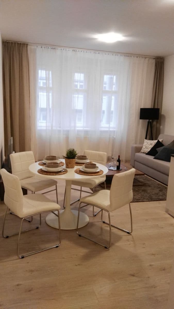 1 bedroom with open-plan kitchen flat to rent, 55 m², Merhautova, Brno, Jihomoravský Region 1 bedroom with open-plan kitchen flat to rent, 55 m², Merhautova, Brno, Jihomoravský Region