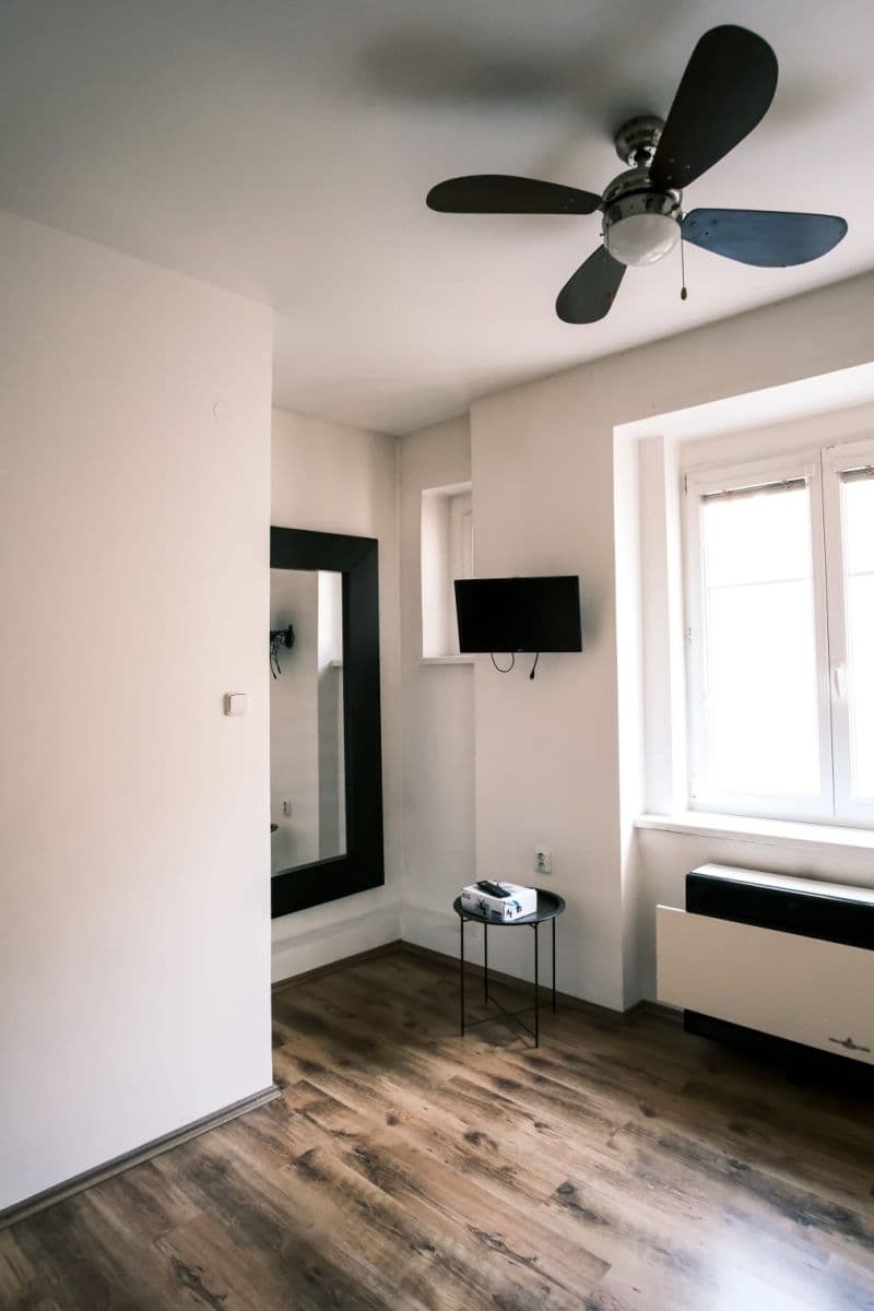 1 bedroom with open-plan kitchen flat to rent, 43 m², Na Rokytce, Prague, Prague 1 bedroom with open-plan kitchen flat to rent, 43 m², Na Rokytce, Prague, Prague