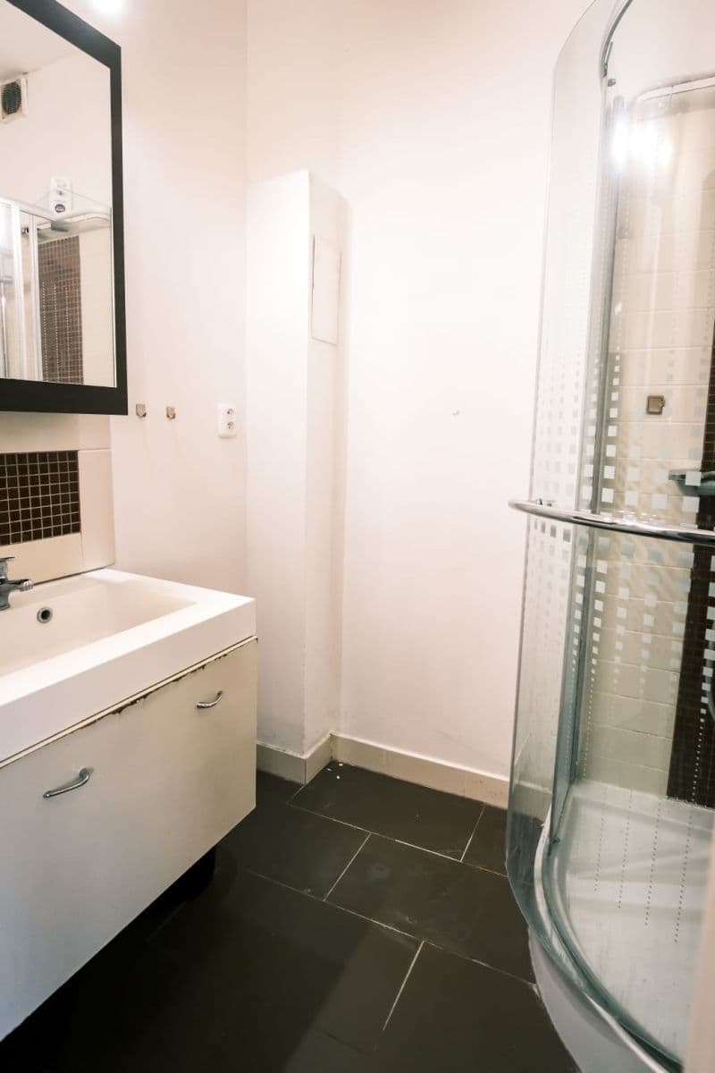 1 bedroom with open-plan kitchen flat to rent, 43 m², Na Rokytce, Prague, Prague 1 bedroom with open-plan kitchen flat to rent, 43 m², Na Rokytce, Prague, Prague