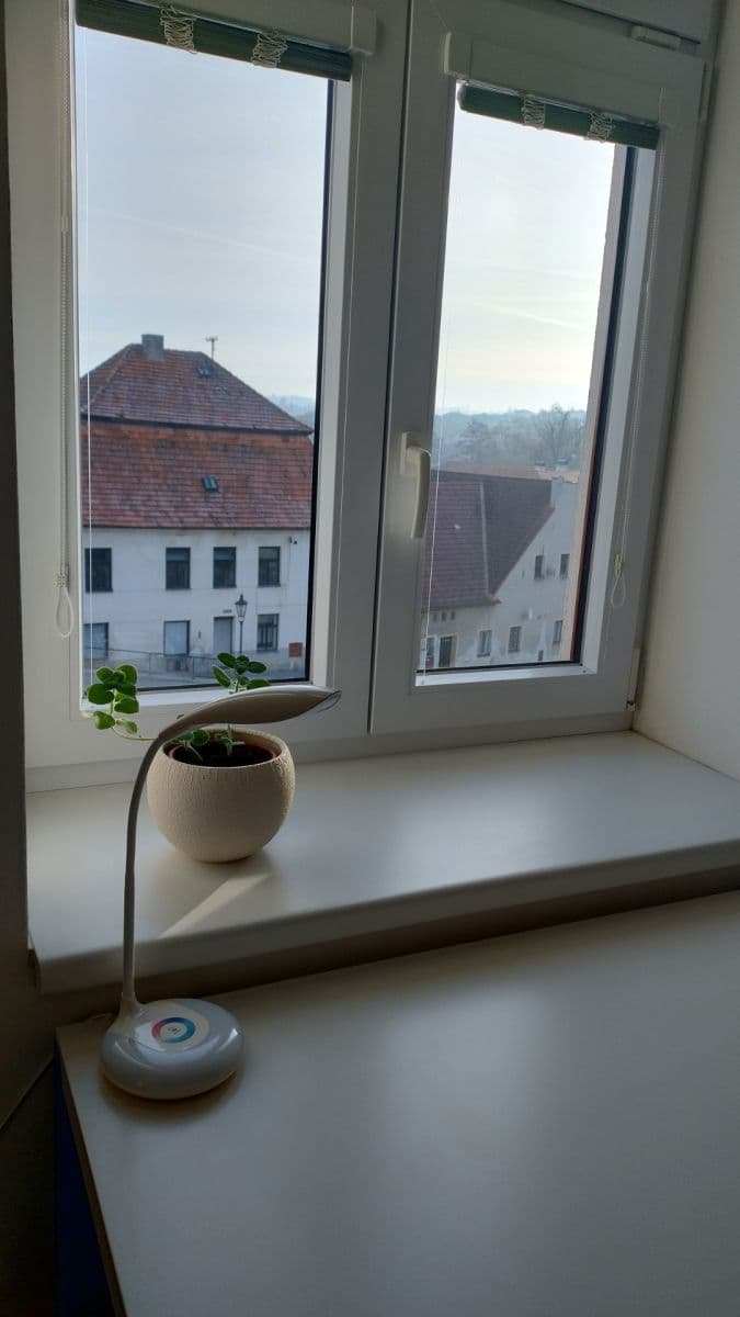 2 bedroom with open-plan kitchen flat for sale, 110 m², Palackého náměstí, Vlašim, Středočeský Region 2 bedroom with open-plan kitchen flat for sale, 110 m², Palackého náměstí, Vlašim, Středočeský Region