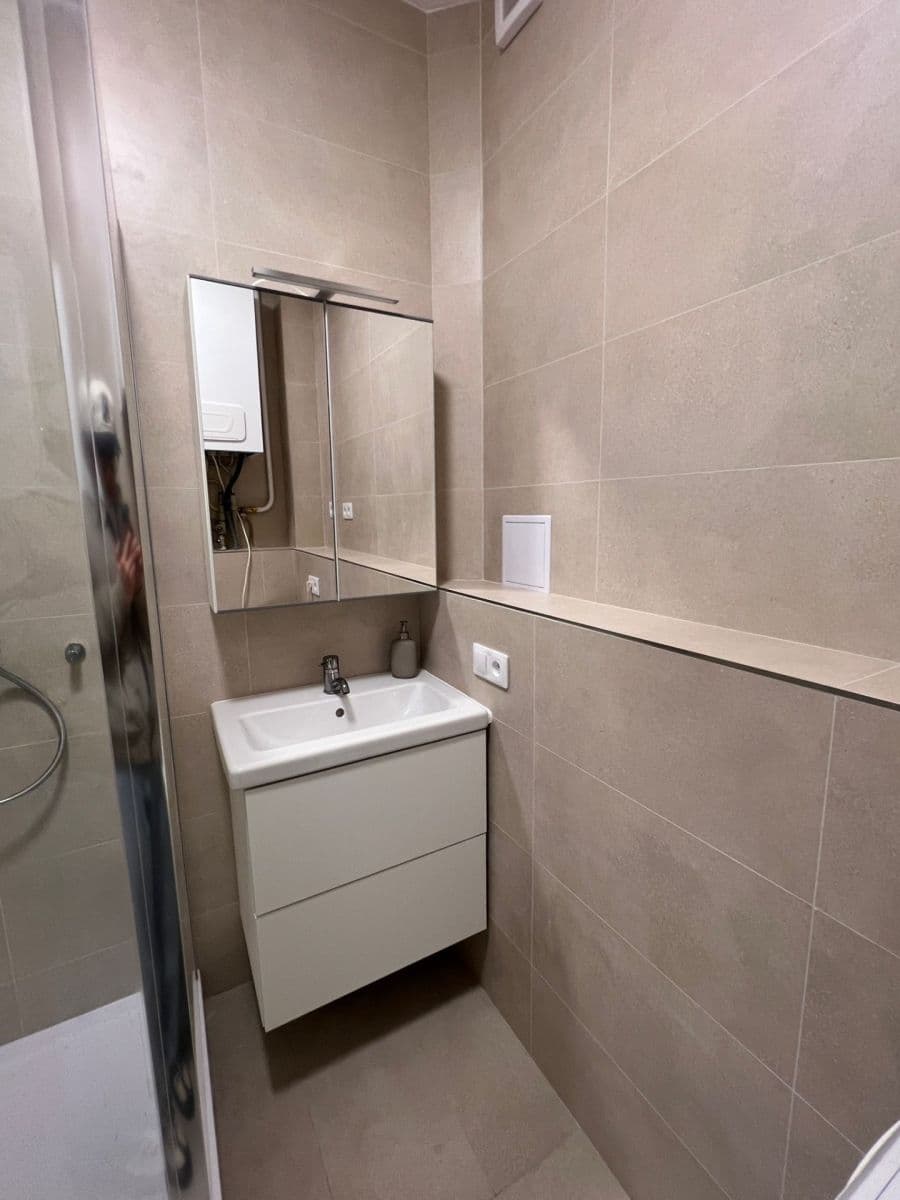 1 bedroom with open-plan kitchen flat to rent, 53 m², Lounských, Prague, Prague 1 bedroom with open-plan kitchen flat to rent, 53 m², Lounských, Prague, Prague