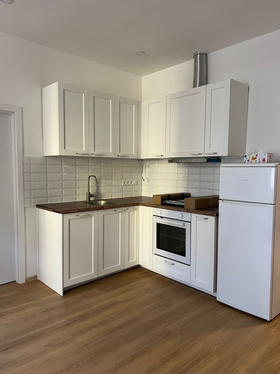 1 bedroom with open-plan kitchen flat to rent, 53 m², Lounských, Prague, Prague 1 bedroom with open-plan kitchen flat to rent, 53 m², Lounských, Prague, Prague