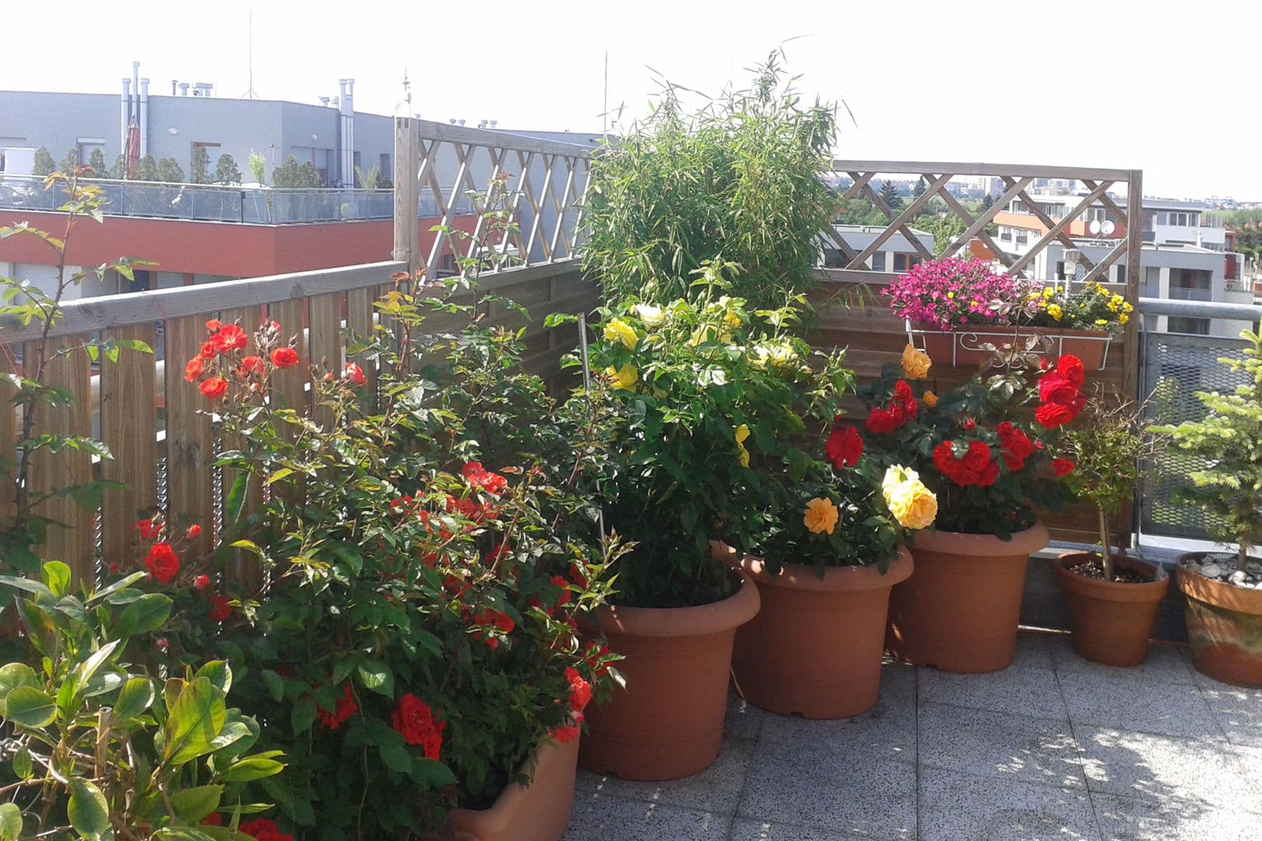 3 bedroom with open-plan kitchen flat for sale, 113 m², Pečárková, Prague, Prague 3 bedroom with open-plan kitchen flat for sale, 113 m², Pečárková, Prague, Prague