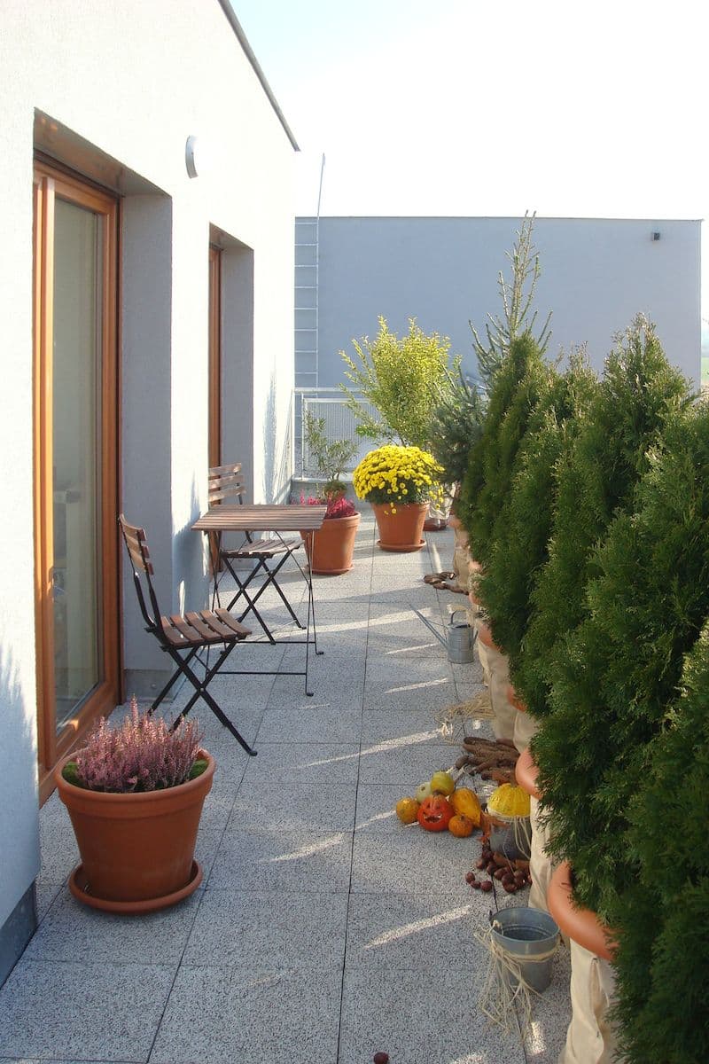 3 bedroom with open-plan kitchen flat for sale, 113 m², Pečárková, Prague, Prague 3 bedroom with open-plan kitchen flat for sale, 113 m², Pečárková, Prague, Prague