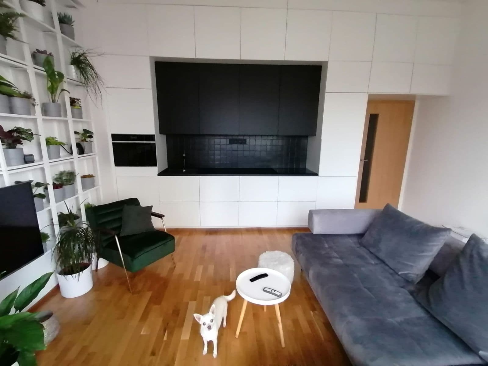 1 bedroom with open-plan kitchen flat to rent, 57 m², Waltariho, Prague, Prague 1 bedroom with open-plan kitchen flat to rent, 57 m², Waltariho, Prague, Prague