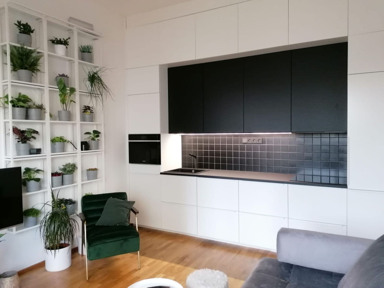 1 bedroom with open-plan kitchen flat to rent, 57 m², Waltariho, Prague, Prague 1 bedroom with open-plan kitchen flat to rent, 57 m², Waltariho, Prague, Prague