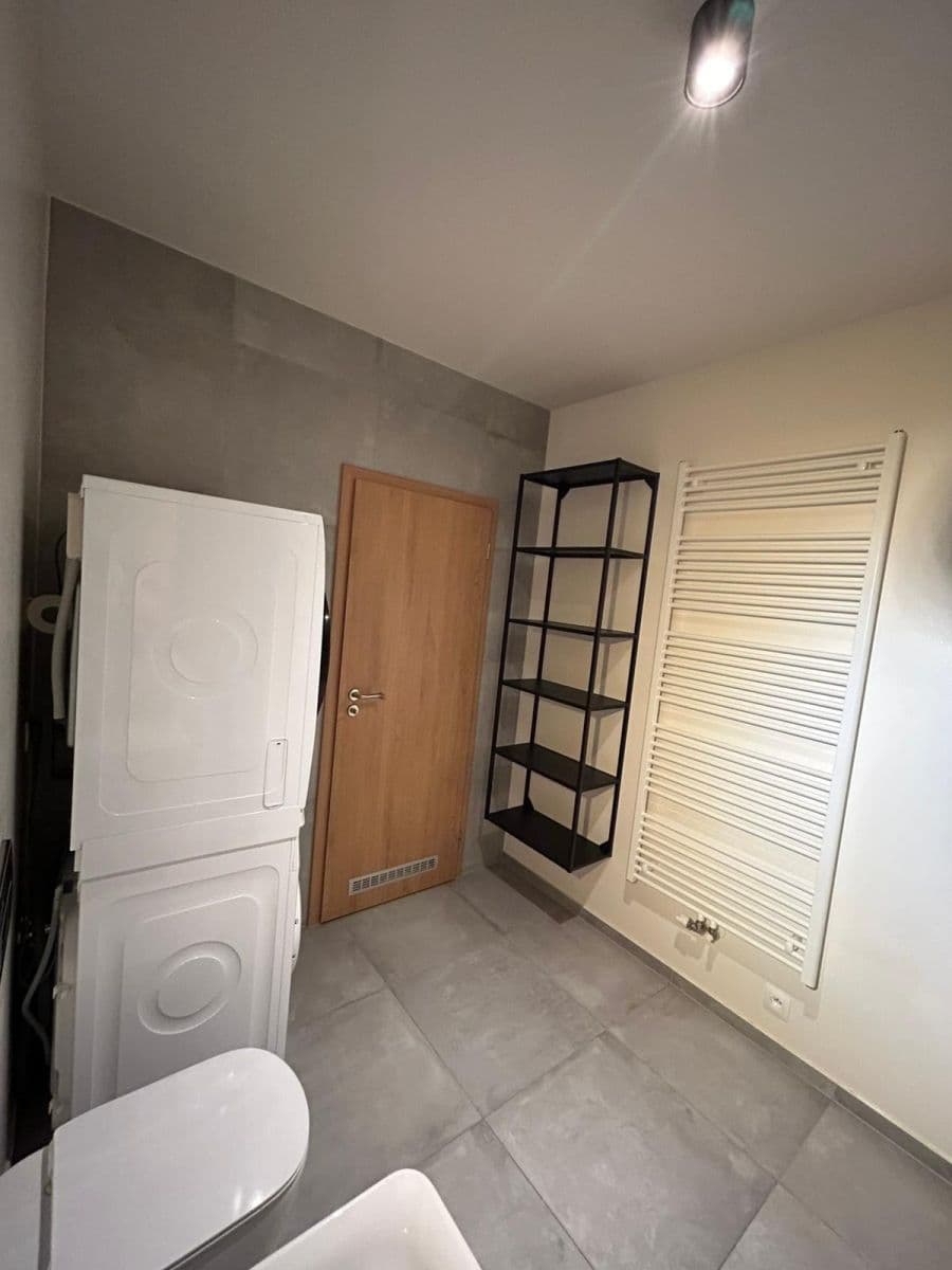 1 bedroom with open-plan kitchen flat to rent, 57 m², Waltariho, Prague, Prague 1 bedroom with open-plan kitchen flat to rent, 57 m², Waltariho, Prague, Prague