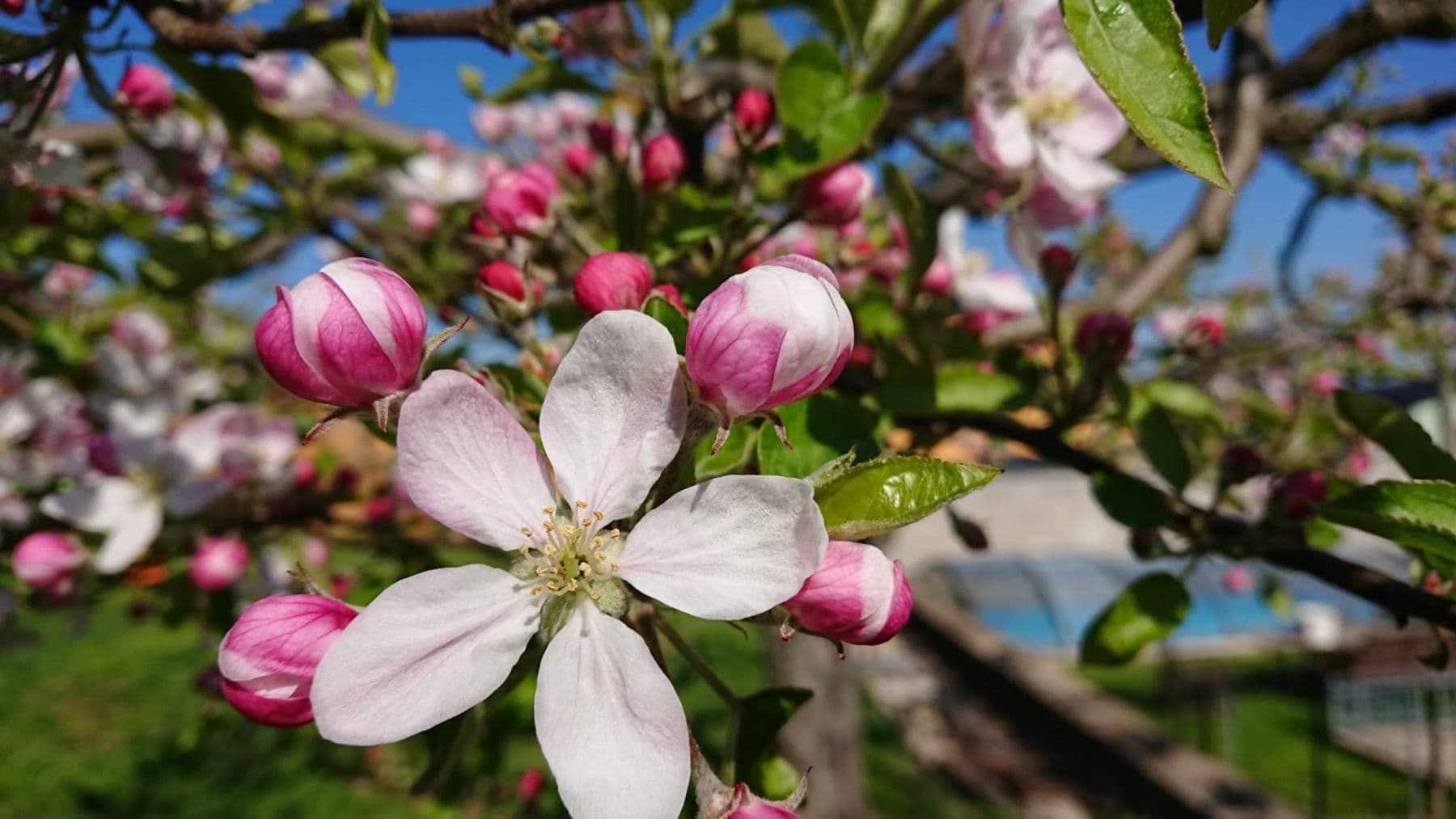house for sale, 149 m², Podlešín, Středočeský Region house for sale, 149 m², Podlešín, Středočeský Region