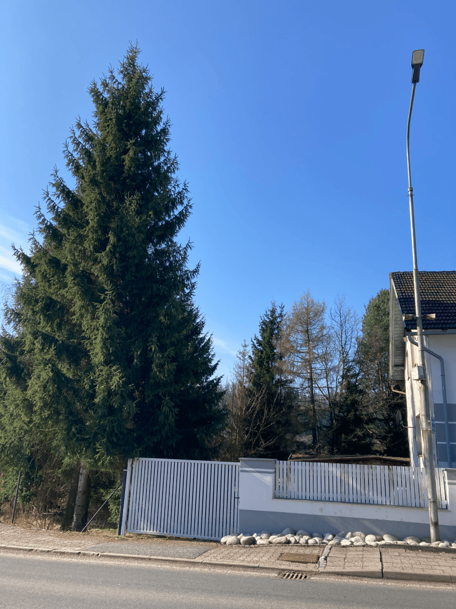 house for sale, 241 m², Meziměstí, Královéhradecký Region house for sale, 241 m², Meziměstí, Královéhradecký Region