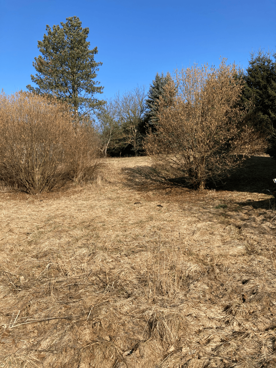 house for sale, 241 m², Meziměstí, Královéhradecký Region house for sale, 241 m², Meziměstí, Královéhradecký Region