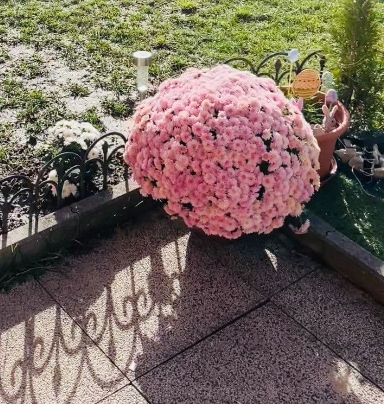 1 bedroom with open-plan kitchen flat for sale, 59 m², Sazovická, Prague, Prague 1 bedroom with open-plan kitchen flat for sale, 59 m², Sazovická, Prague, Prague