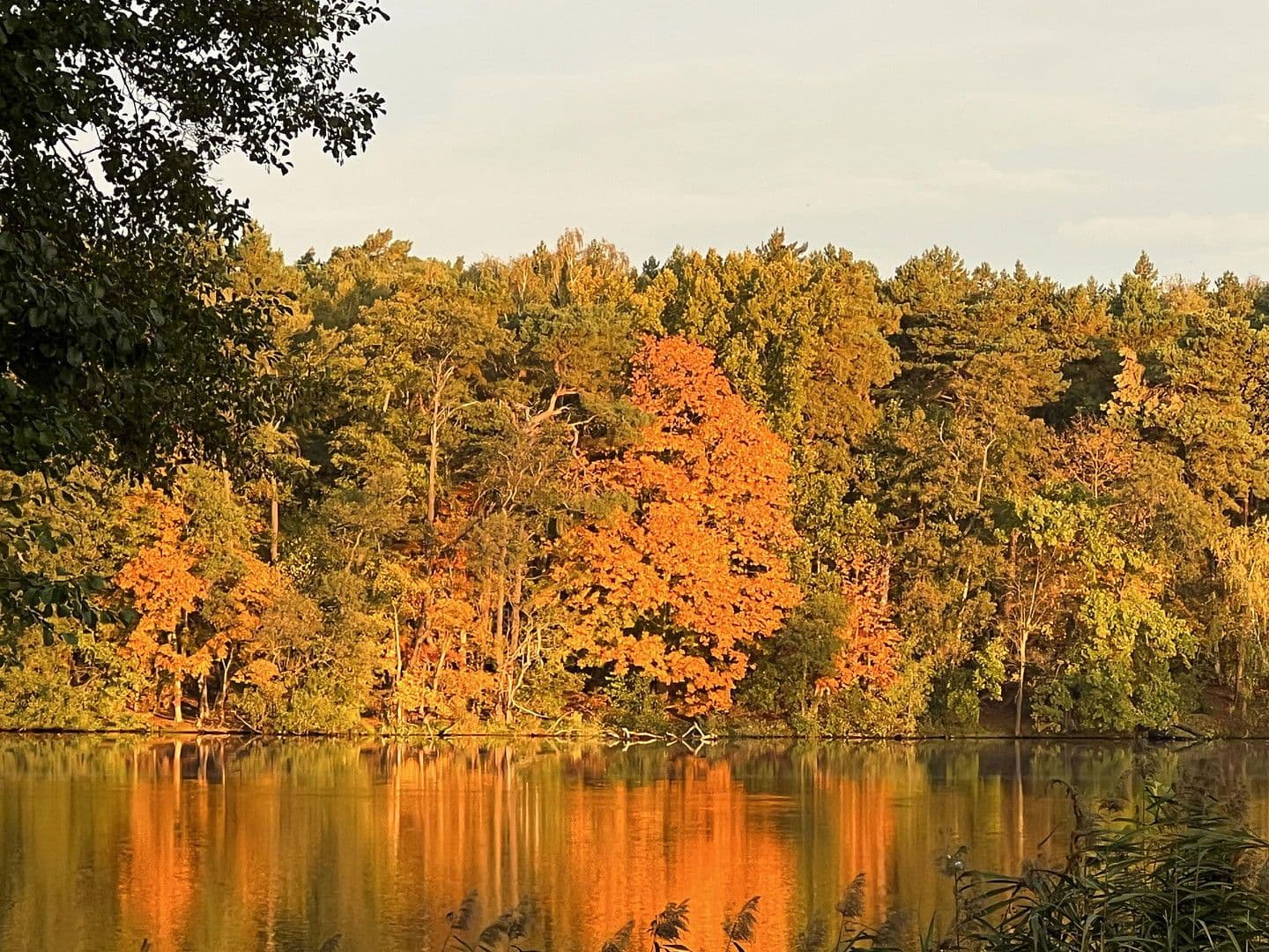 house for sale, 224 m², Königs Wusterhausen, Brandenburg house for sale, 224 m², Königs Wusterhausen, Brandenburg