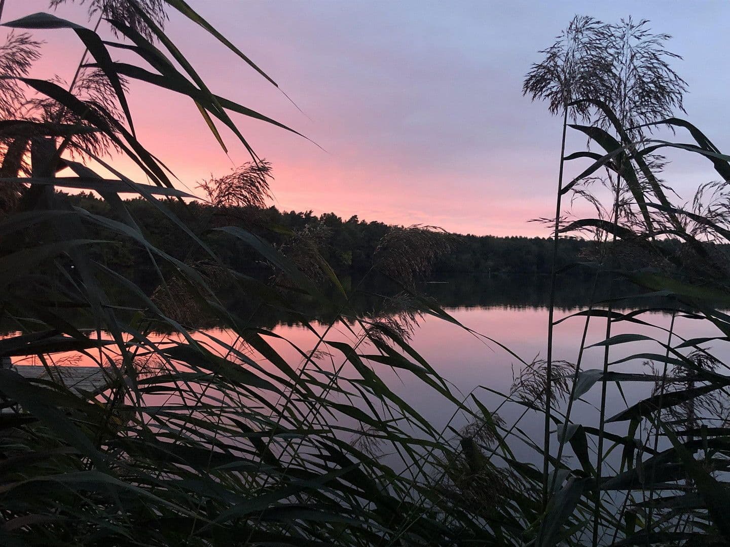 house for sale, 224 m², Königs Wusterhausen, Brandenburg house for sale, 224 m², Königs Wusterhausen, Brandenburg