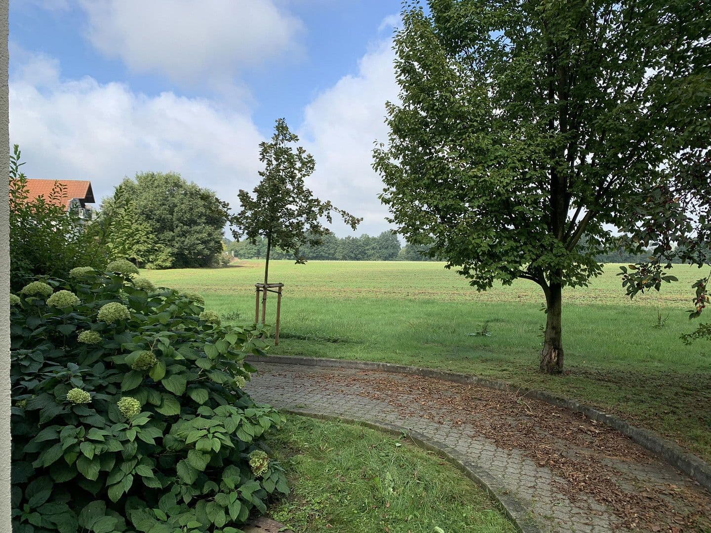 Studio flat to rent, 39 m², Johann-Joachim-Kaendler Str. 14, Arnsdorf, Saxony Studio flat to rent, 39 m², Johann-Joachim-Kaendler Str. 14, Arnsdorf, Saxony