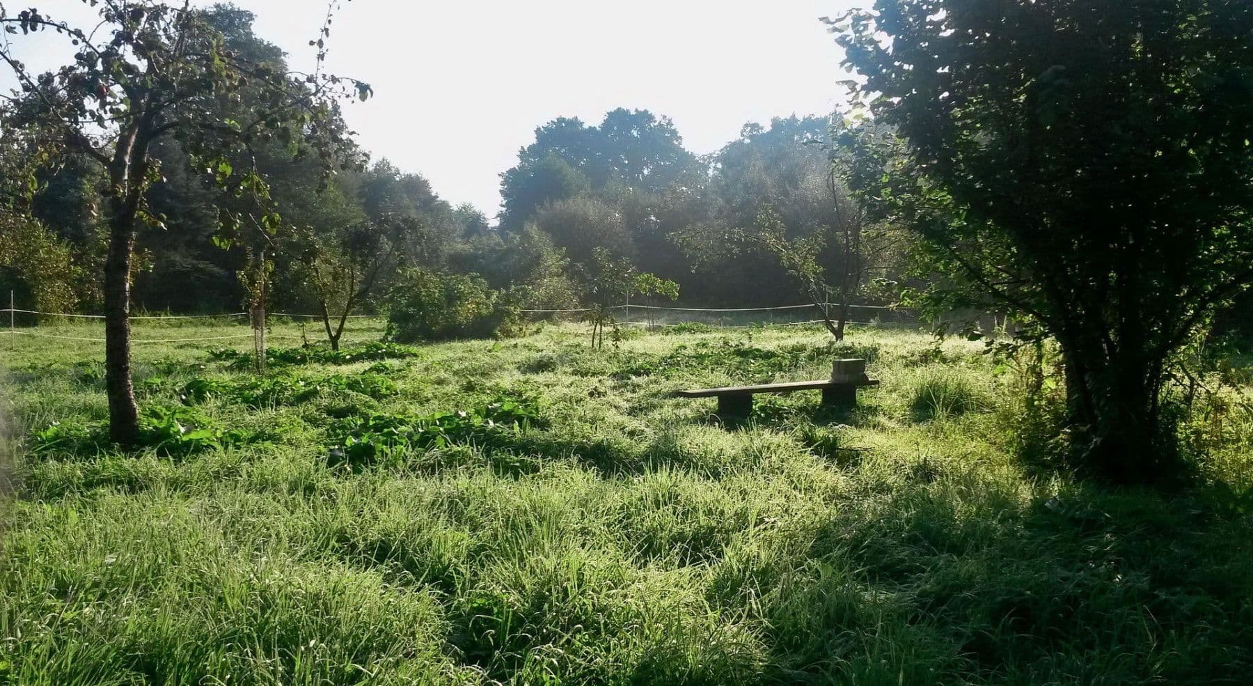 plot for sale, 4,340 m², Biesenthal, Brandenburg plot for sale, 4,340 m², Biesenthal, Brandenburg