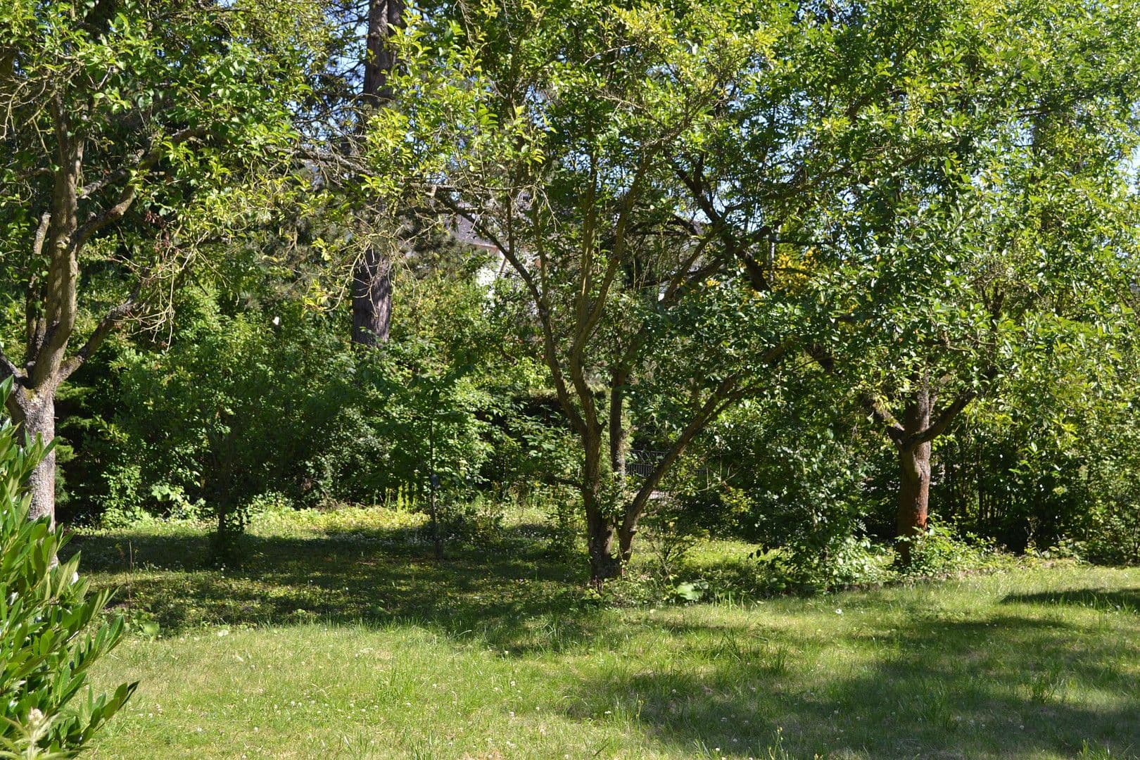 5 bedroom flat to rent, 140 m², Eschenweg, Koblenz, Rhineland-Palatinate 5 bedroom flat to rent, 140 m², Eschenweg, Koblenz, Rhineland-Palatinate