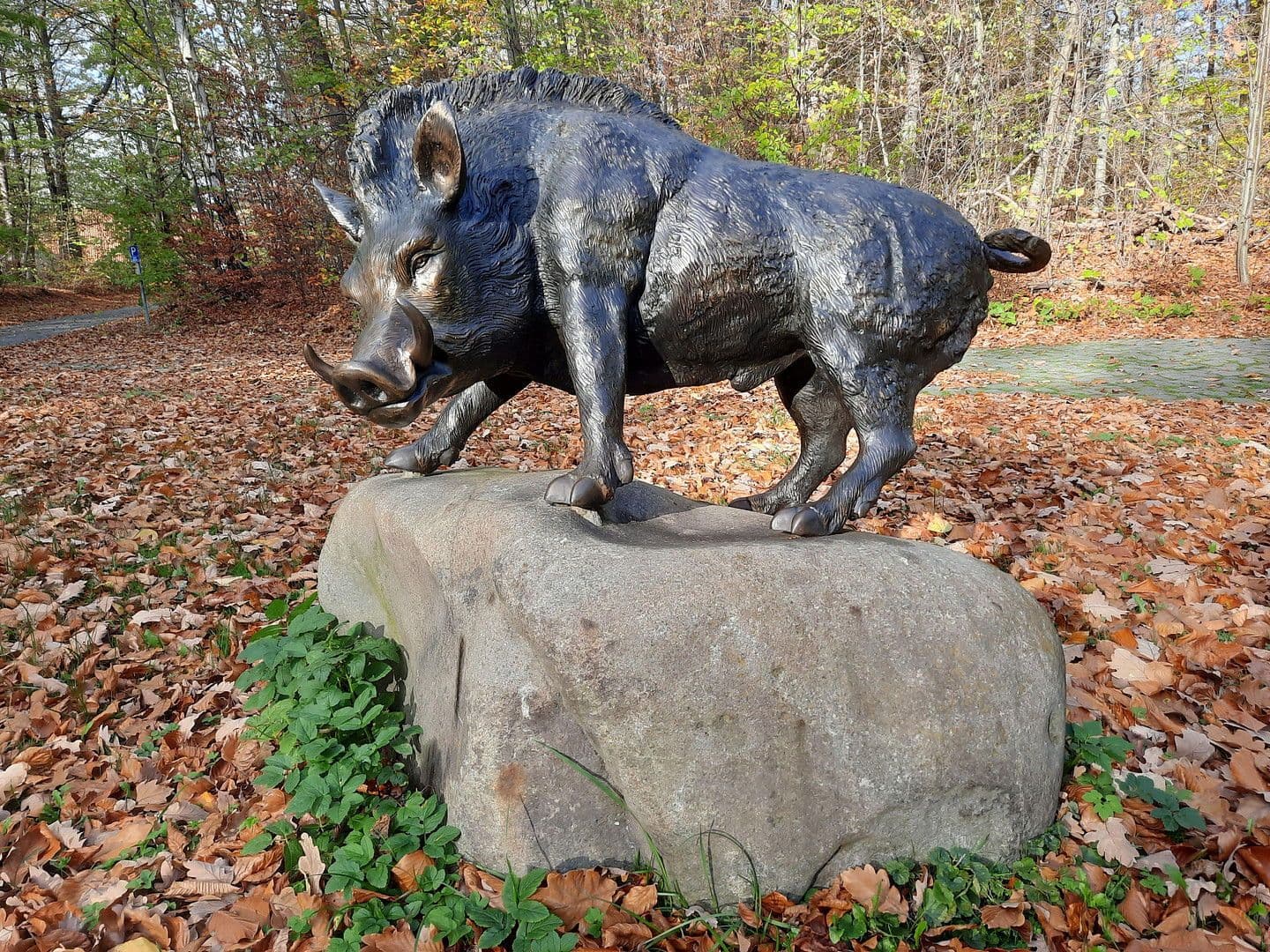 house for sale, 1,330 m², Bad Harzburg, Lower Saxony house for sale, 1,330 m², Bad Harzburg, Lower Saxony