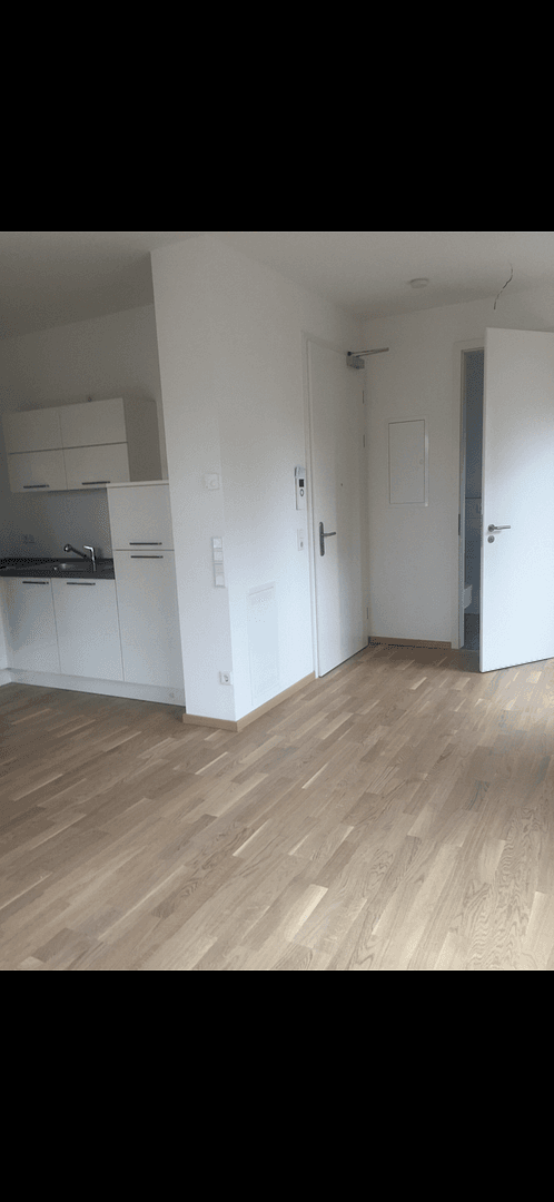 2 bedroom flat to rent, 45 m², Frankfurt am Main, Hesse 2 bedroom flat to rent, 45 m², Frankfurt am Main, Hesse