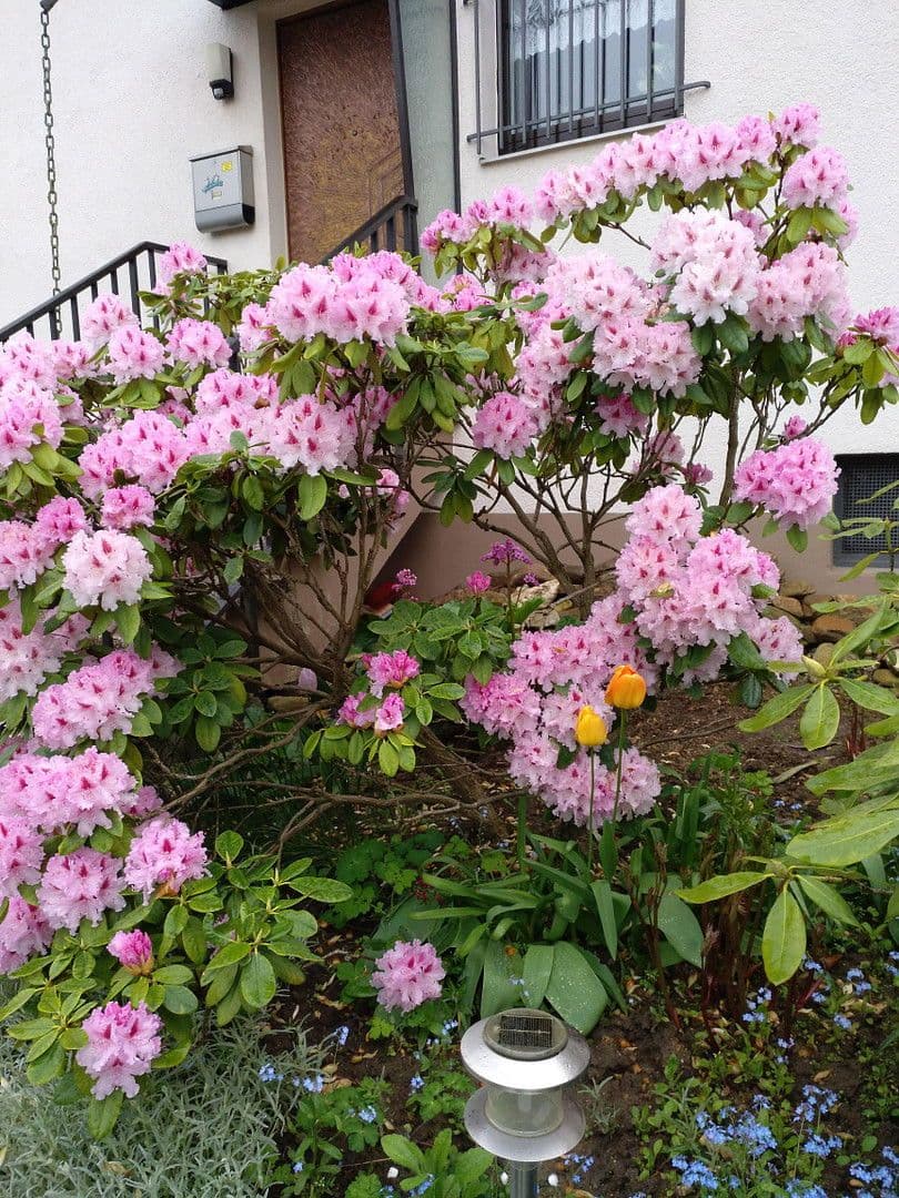 house for sale, 138 m², Oberursel (Taunus), Hesse house for sale, 138 m², Oberursel (Taunus), Hesse