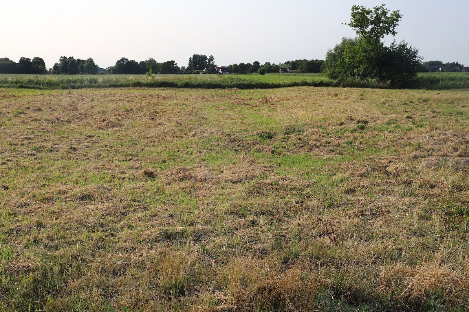 plot for sale, 1,017 m², Zur Rönnwettern 35, Seester, Schleswig-Holstein plot for sale, 1,017 m², Zur Rönnwettern 35, Seester, Schleswig-Holstein