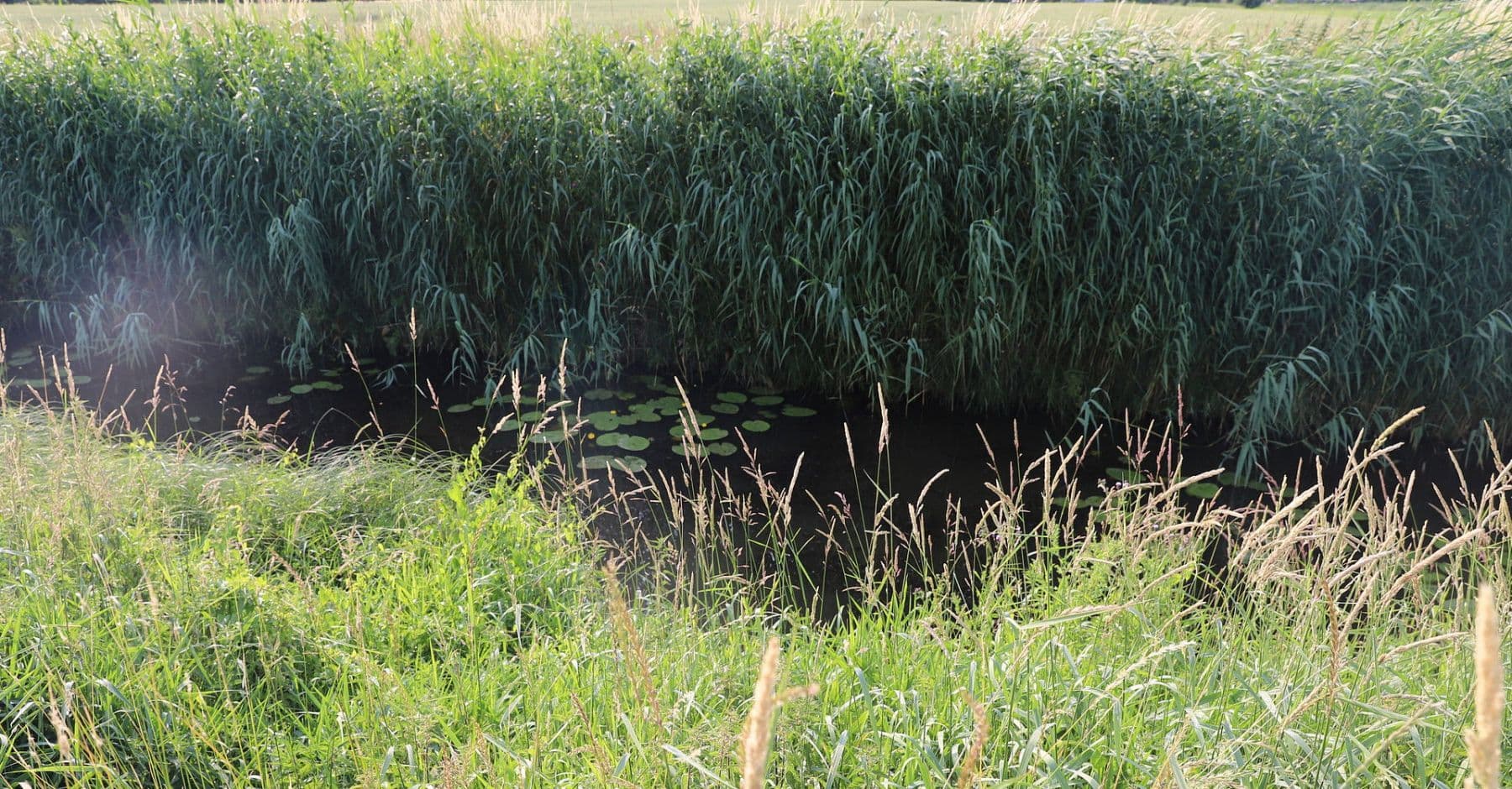 plot for sale, 1,017 m², Zur Rönnwettern 35, Seester, Schleswig-Holstein plot for sale, 1,017 m², Zur Rönnwettern 35, Seester, Schleswig-Holstein