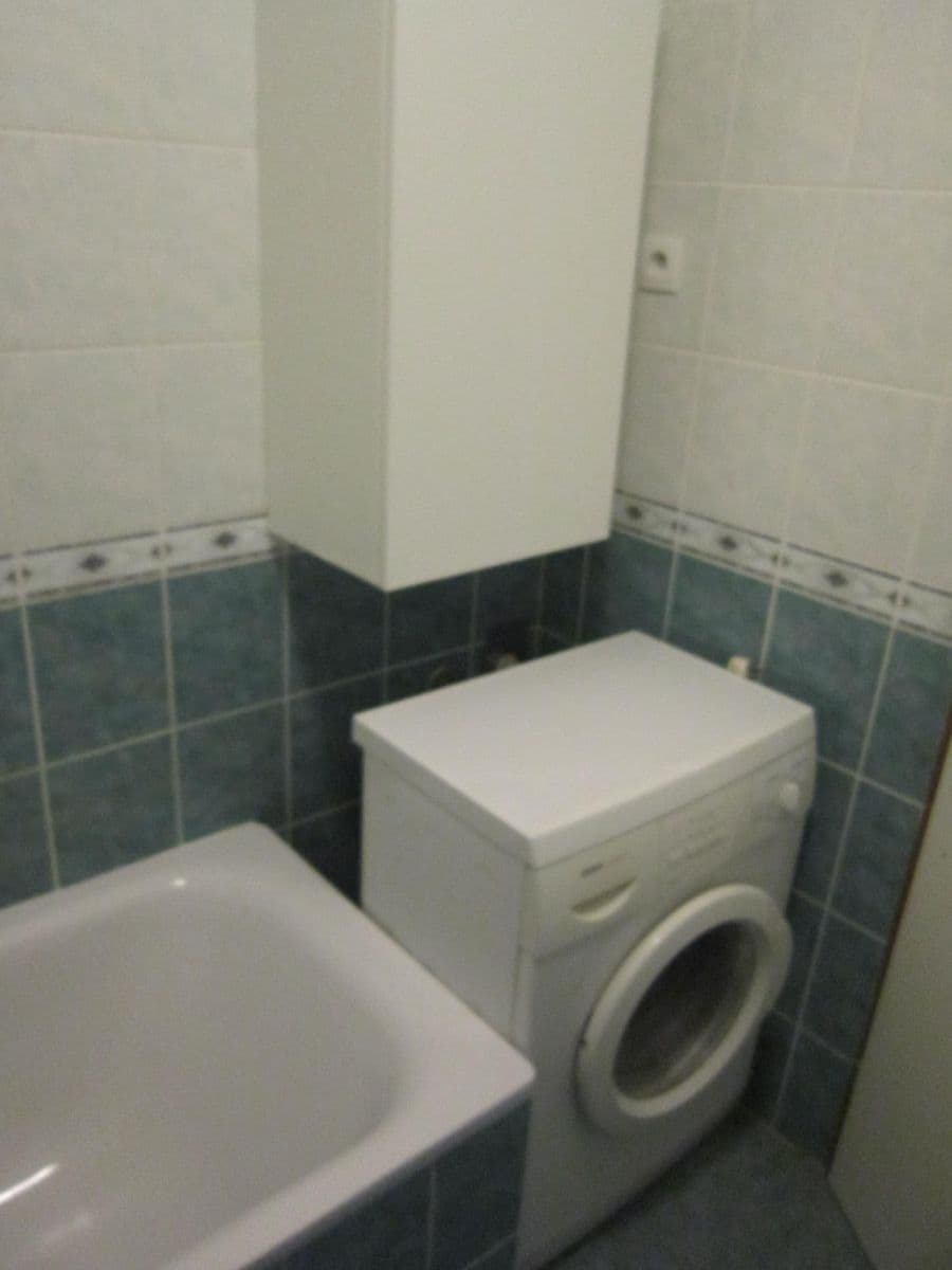 1 bedroom with open-plan kitchen flat to rent, 38 m², Hnězdenská, Prague, Prague 1 bedroom with open-plan kitchen flat to rent, 38 m², Hnězdenská, Prague, Prague