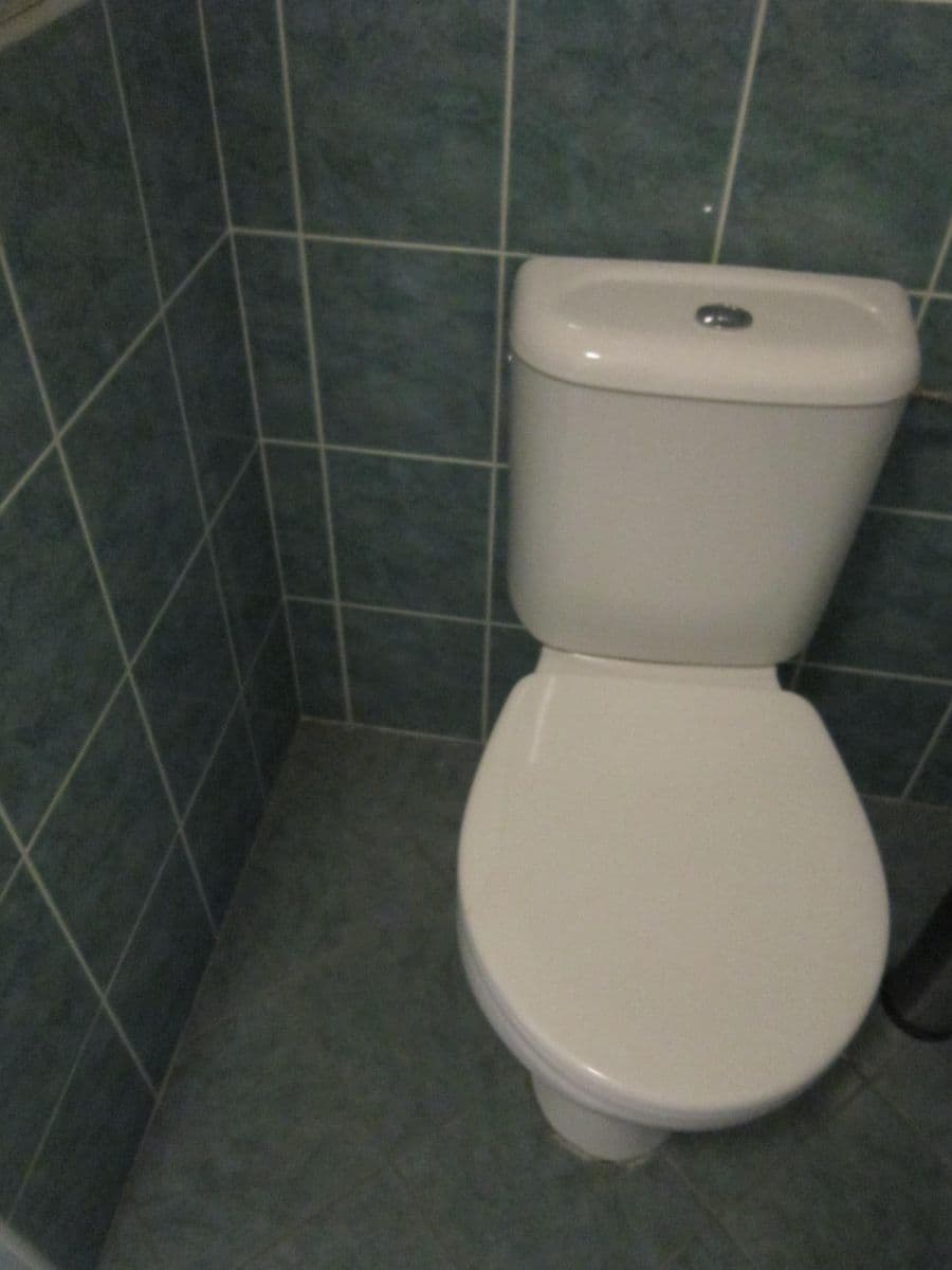 1 bedroom with open-plan kitchen flat to rent, 38 m², Hnězdenská, Prague, Prague 1 bedroom with open-plan kitchen flat to rent, 38 m², Hnězdenská, Prague, Prague