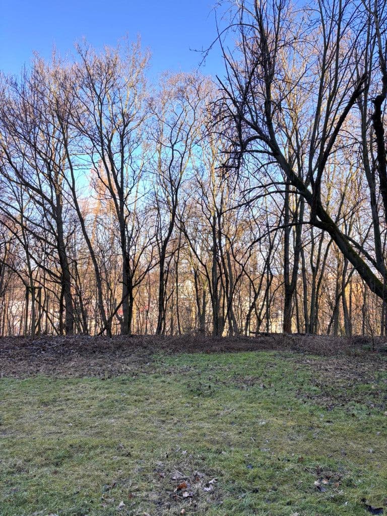 1 bedroom with open-plan kitchen flat to rent, 51 m², Na Okraji, Prague, Prague 1 bedroom with open-plan kitchen flat to rent, 51 m², Na Okraji, Prague, Prague