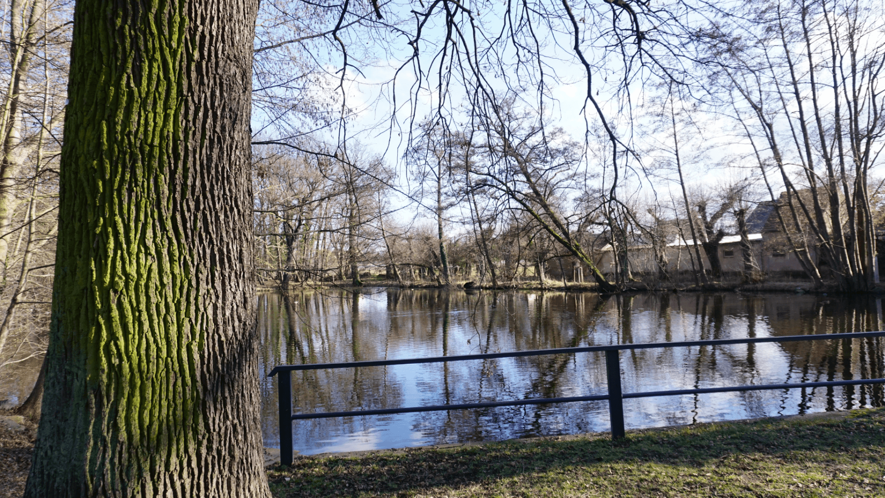 house for sale, 132 m², Ebersbach, Saxony house for sale, 132 m², Ebersbach, Saxony