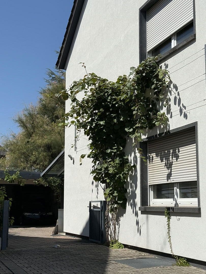 house for sale, 340 m², Rheinzabern, Rhineland-Palatinate house for sale, 340 m², Rheinzabern, Rhineland-Palatinate