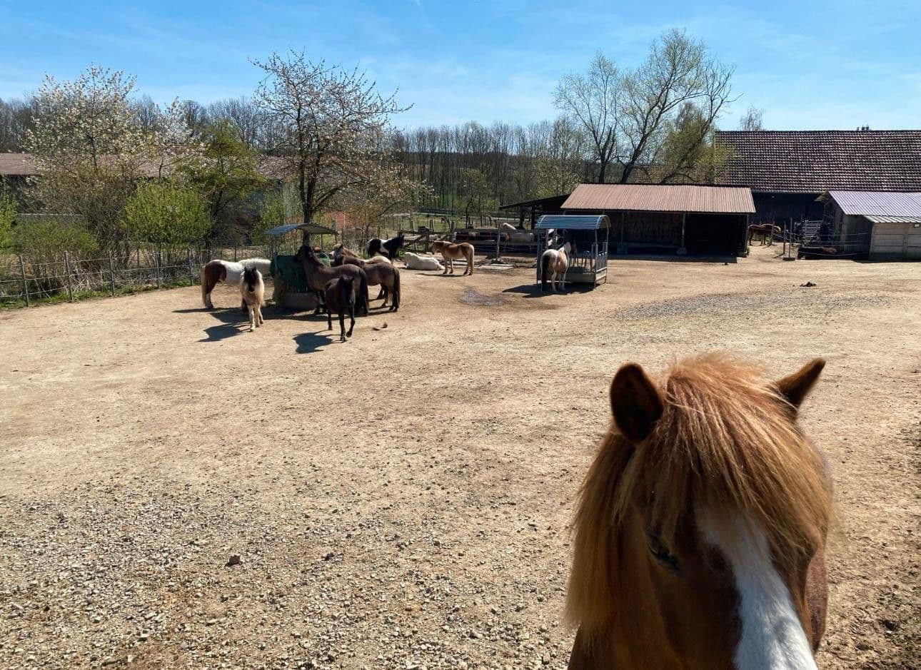 plot for sale, 31,000 m², Auf der Heide 3, Espenau, Hesse plot for sale, 31,000 m², Auf der Heide 3, Espenau, Hesse