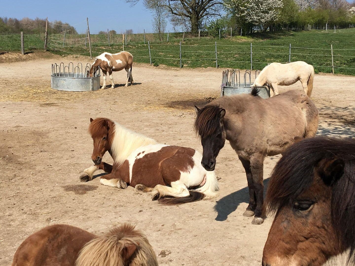 plot for sale, 31,000 m², Auf der Heide 3, Espenau, Hesse plot for sale, 31,000 m², Auf der Heide 3, Espenau, Hesse