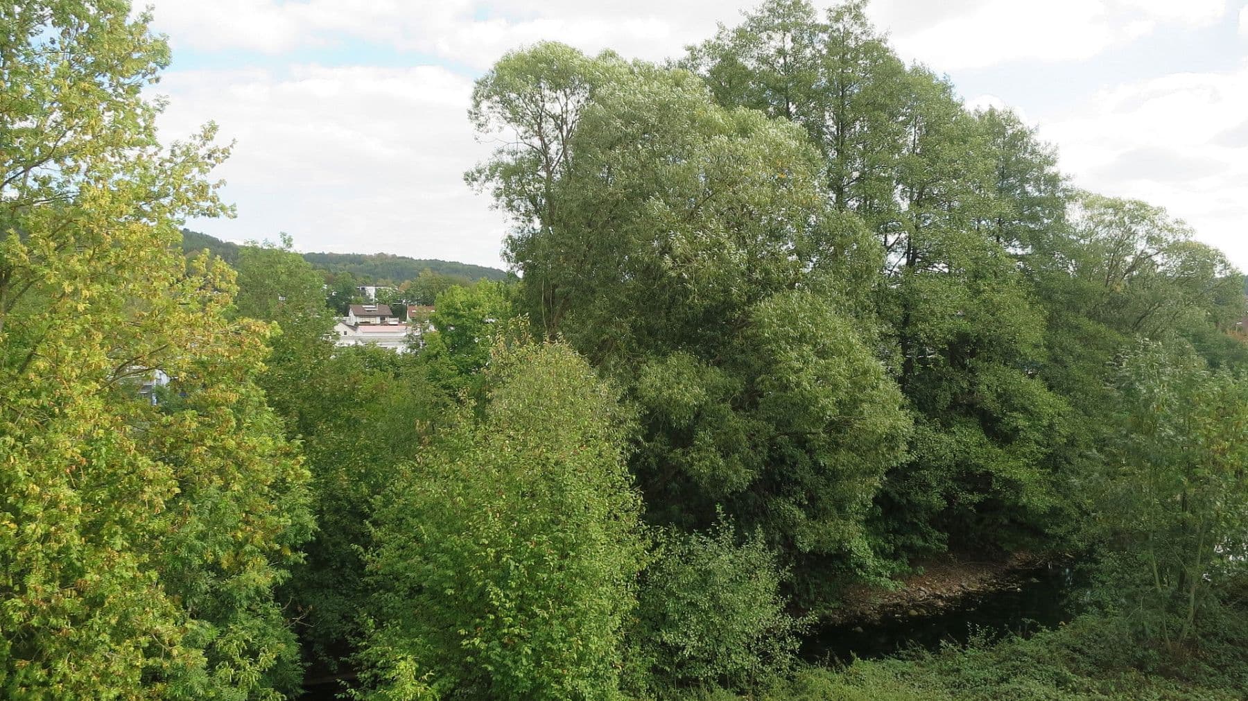 2 bedroom flat to rent, 50 m², Kronach, Bavaria 2 bedroom flat to rent, 50 m², Kronach, Bavaria