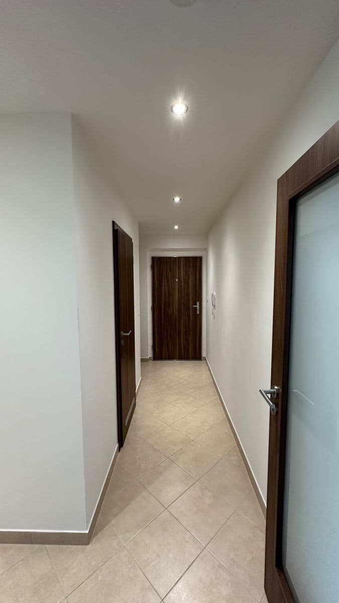 1 bedroom with open-plan kitchen flat to rent, 60 m², Modenská, Prague, Prague 1 bedroom with open-plan kitchen flat to rent, 60 m², Modenská, Prague, Prague