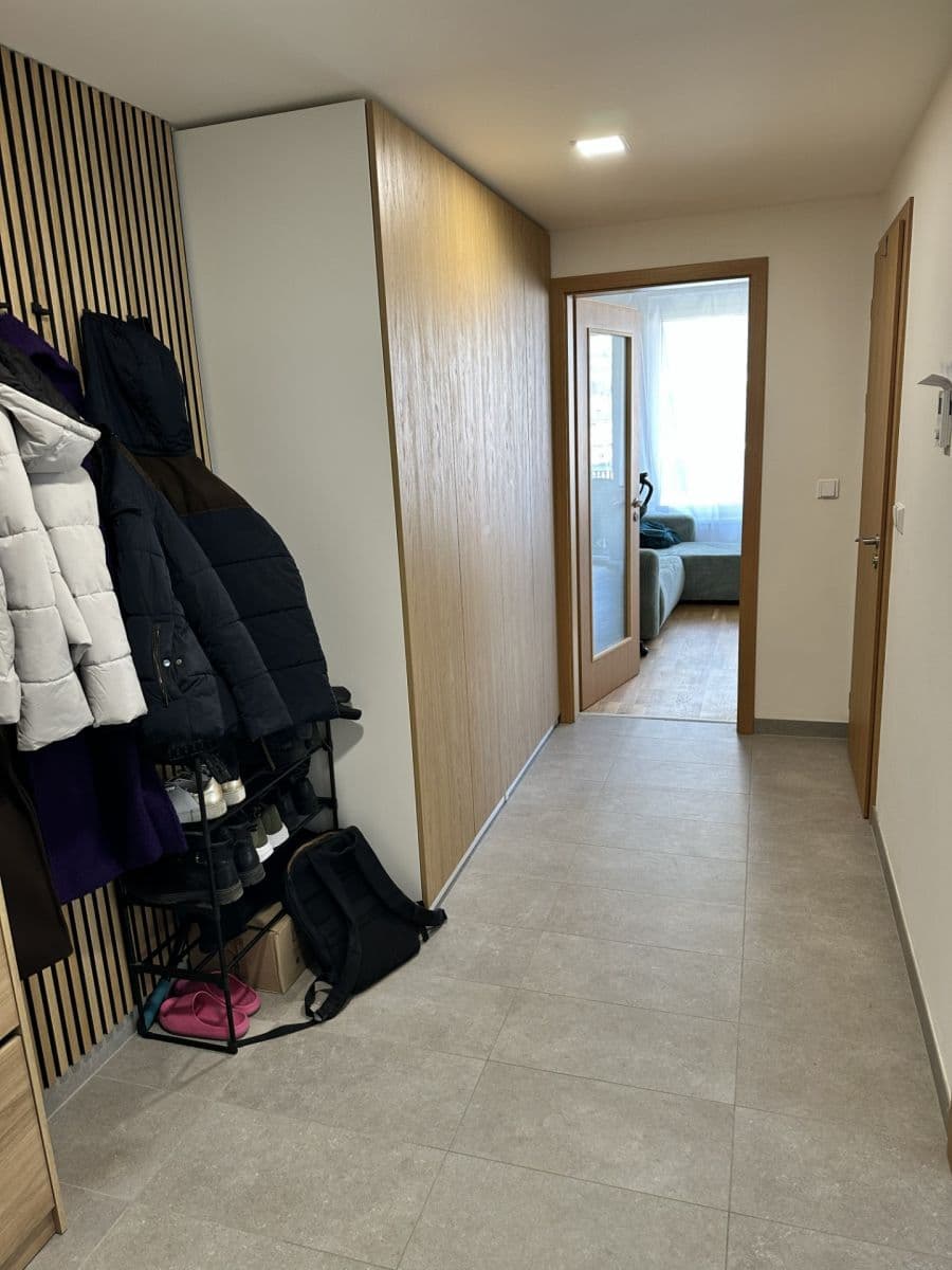 1 bedroom with open-plan kitchen flat to rent, 50 m², Smržových, Prague, Prague 1 bedroom with open-plan kitchen flat to rent, 50 m², Smržových, Prague, Prague