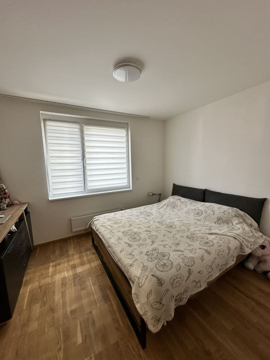 1 bedroom with open-plan kitchen flat to rent, 50 m², Smržových, Prague, Prague 1 bedroom with open-plan kitchen flat to rent, 50 m², Smržových, Prague, Prague