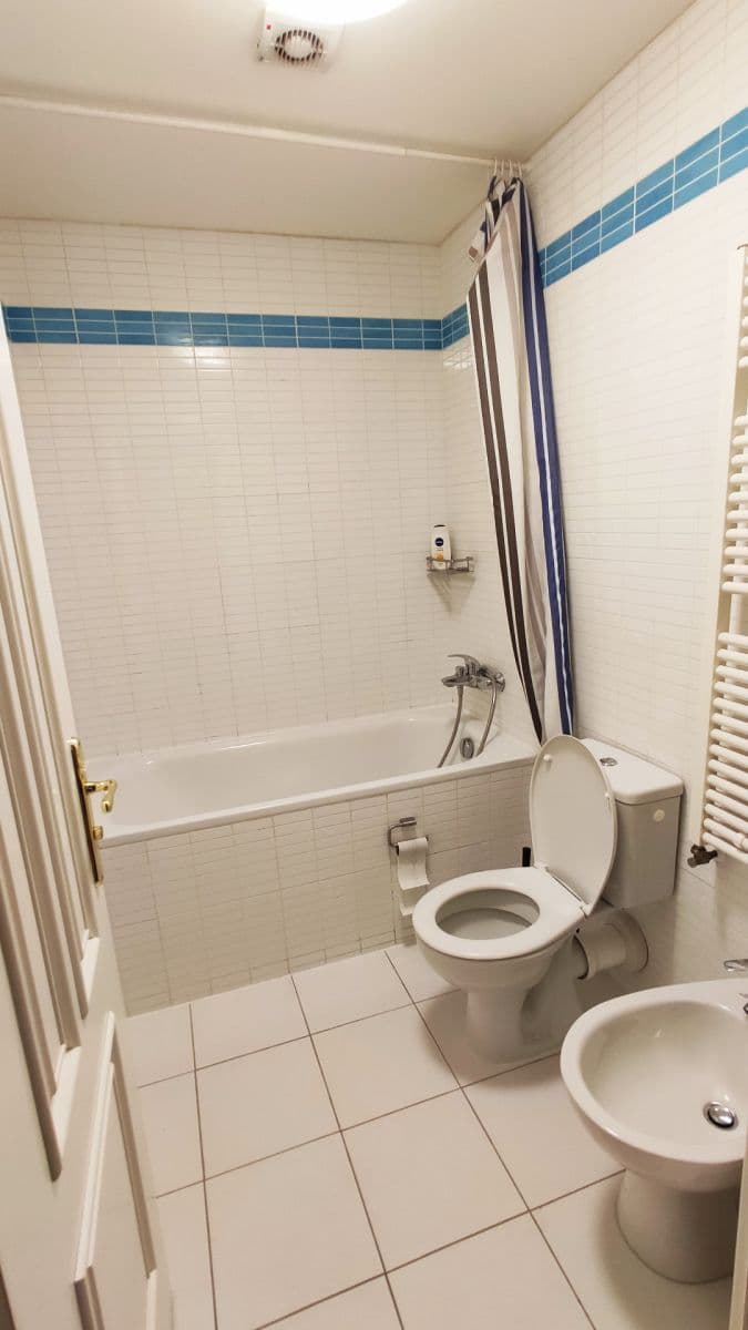 1 bedroom with open-plan kitchen flat to rent, 38 m², Klimentská, Prague, Prague 1 bedroom with open-plan kitchen flat to rent, 38 m², Klimentská, Prague, Prague