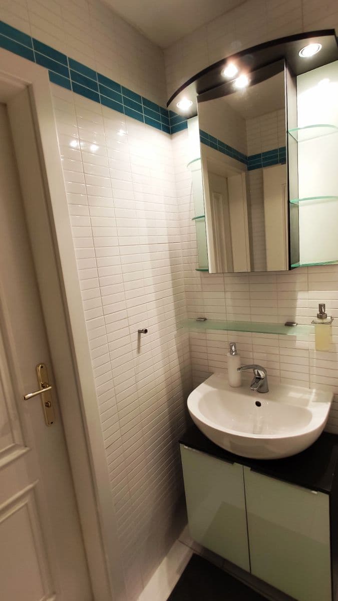 1 bedroom with open-plan kitchen flat to rent, 38 m², Klimentská, Prague, Prague 1 bedroom with open-plan kitchen flat to rent, 38 m², Klimentská, Prague, Prague