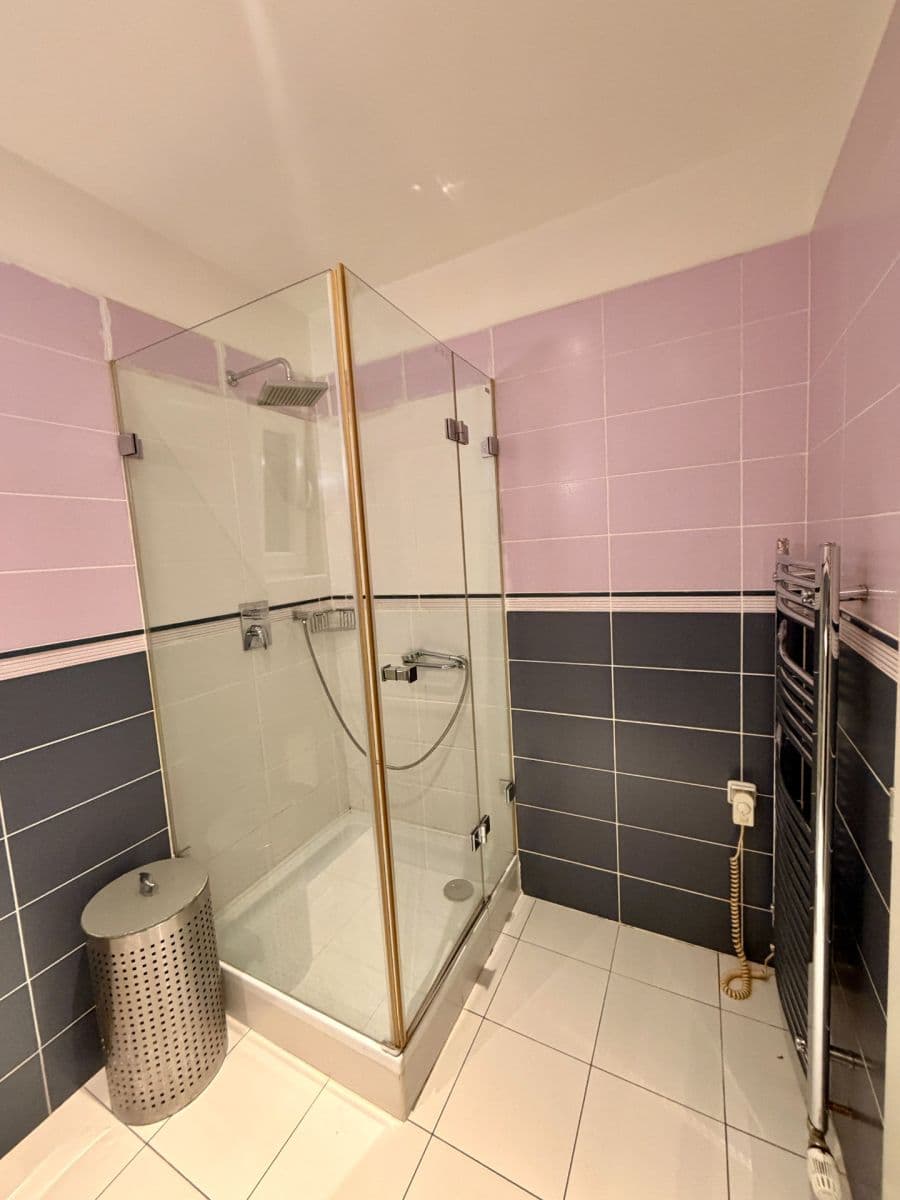 1 bedroom with open-plan kitchen flat to rent, 51 m², U Blaženky, Prague, Prague 1 bedroom with open-plan kitchen flat to rent, 51 m², U Blaženky, Prague, Prague