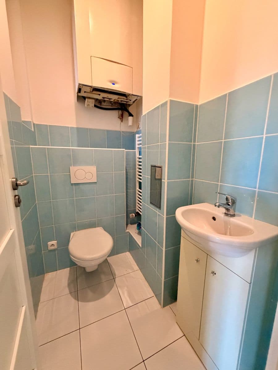 1 bedroom with open-plan kitchen flat to rent, 51 m², U Blaženky, Prague, Prague 1 bedroom with open-plan kitchen flat to rent, 51 m², U Blaženky, Prague, Prague